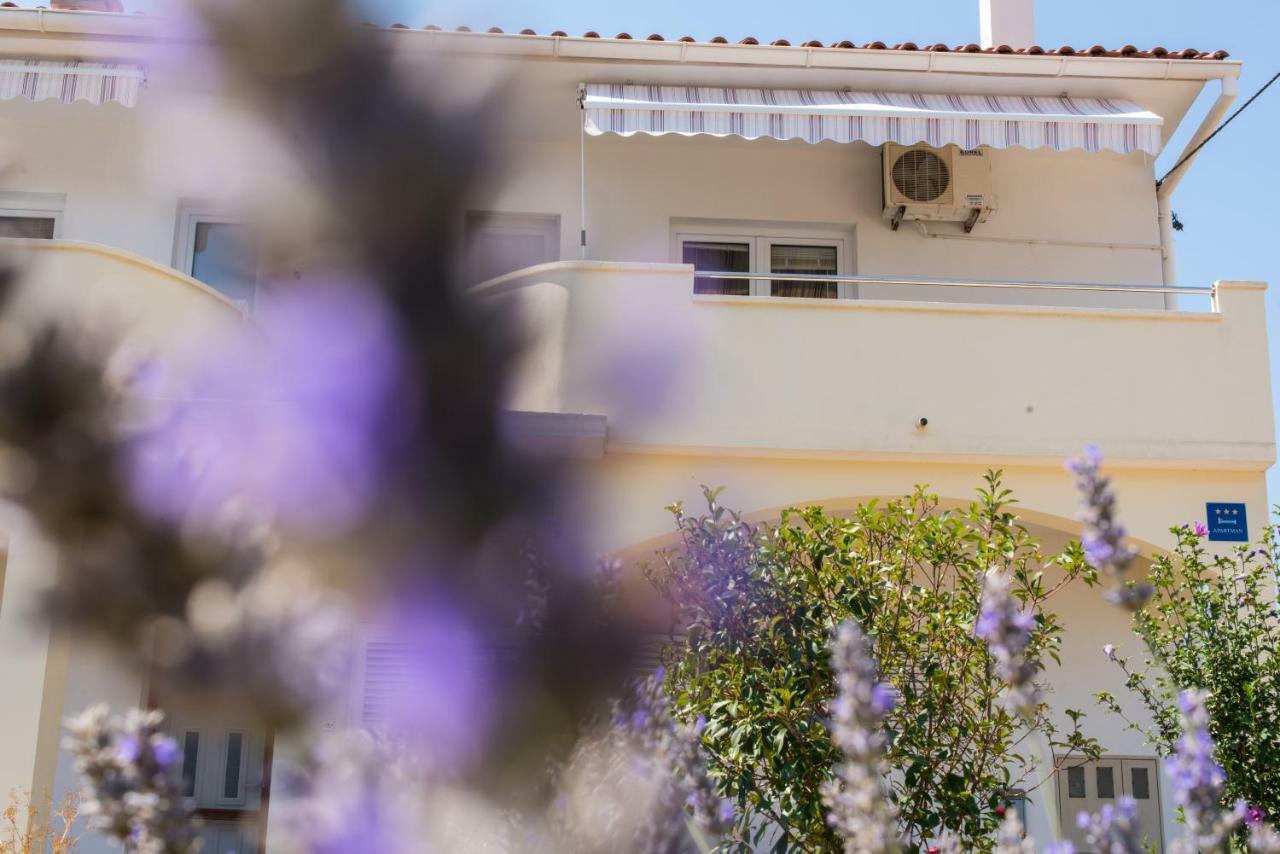 Apartments Maco Petrcane Exterior photo